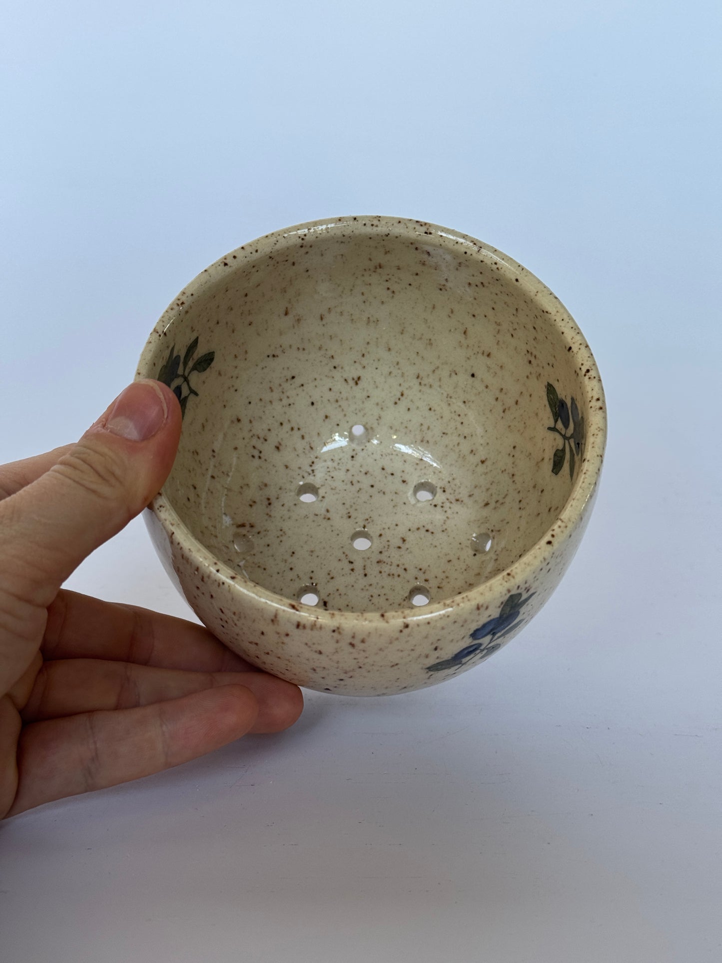 Blueberry Strainer #1