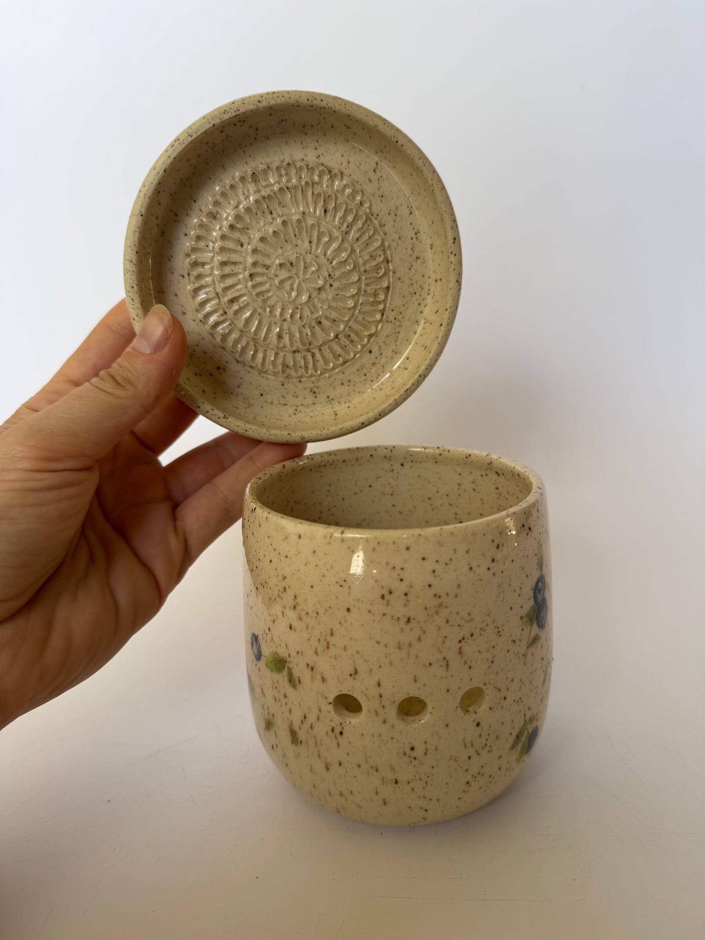 Garlic Keeper and Grater #2