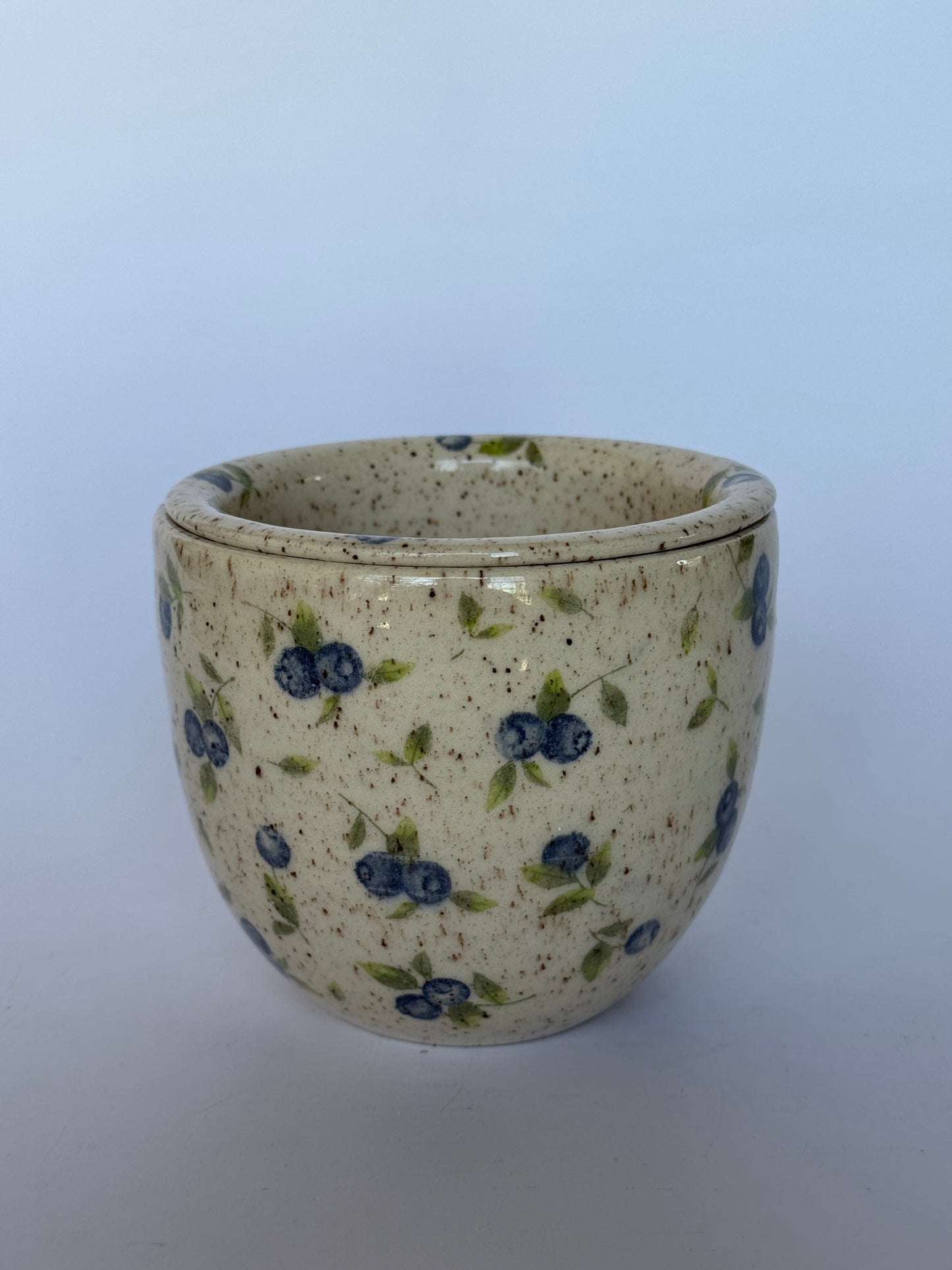 Blueberry Strainer+Bowl set #1