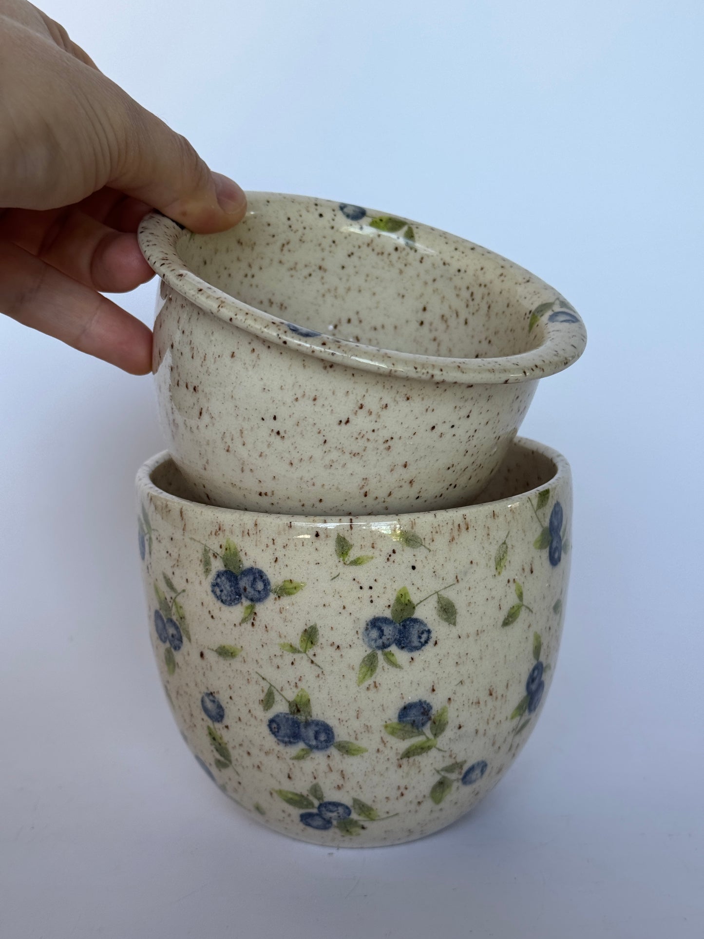 Blueberry Strainer+Bowl set #1