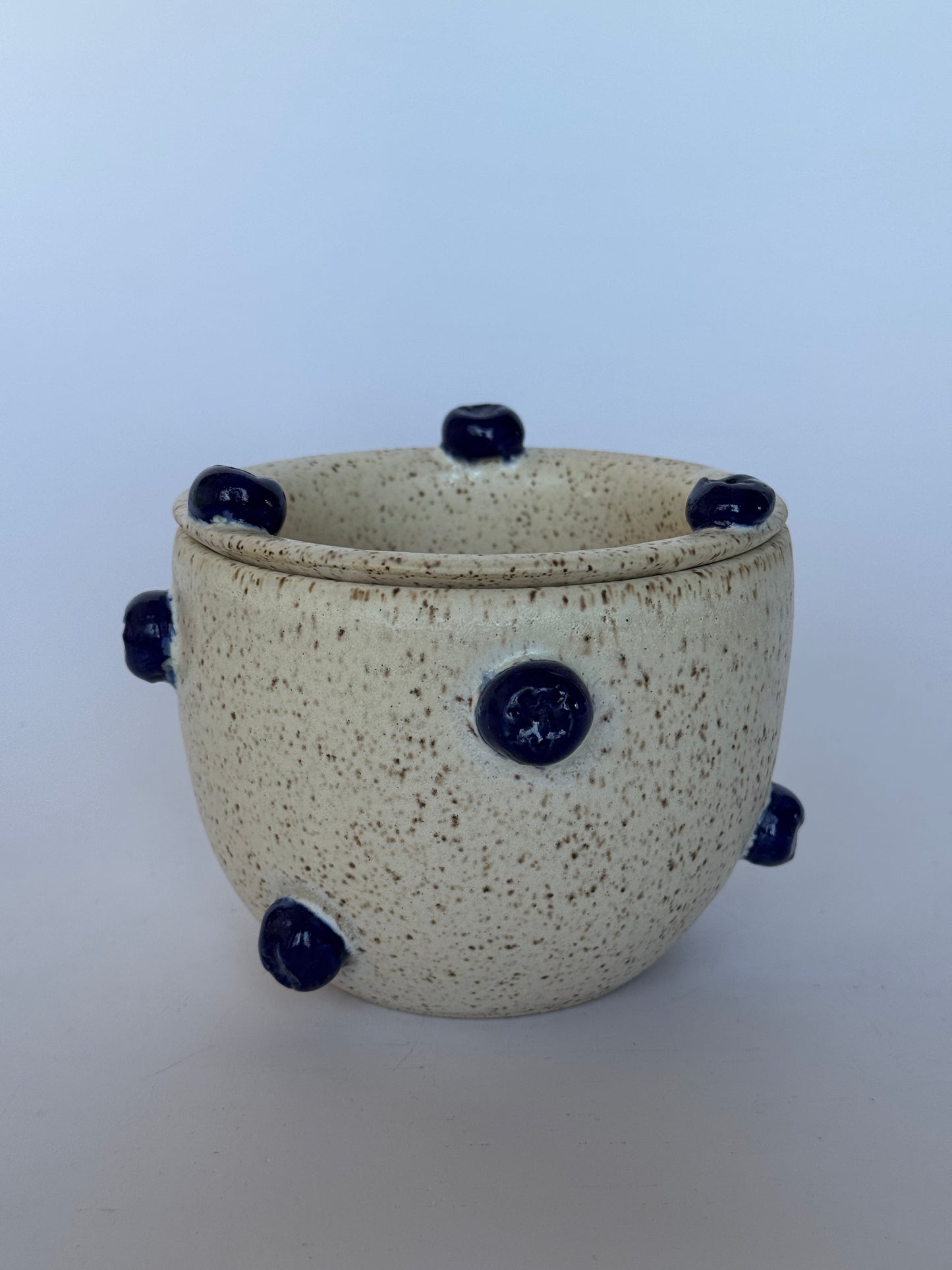 Blueberry Strainer+Bowl set #2
