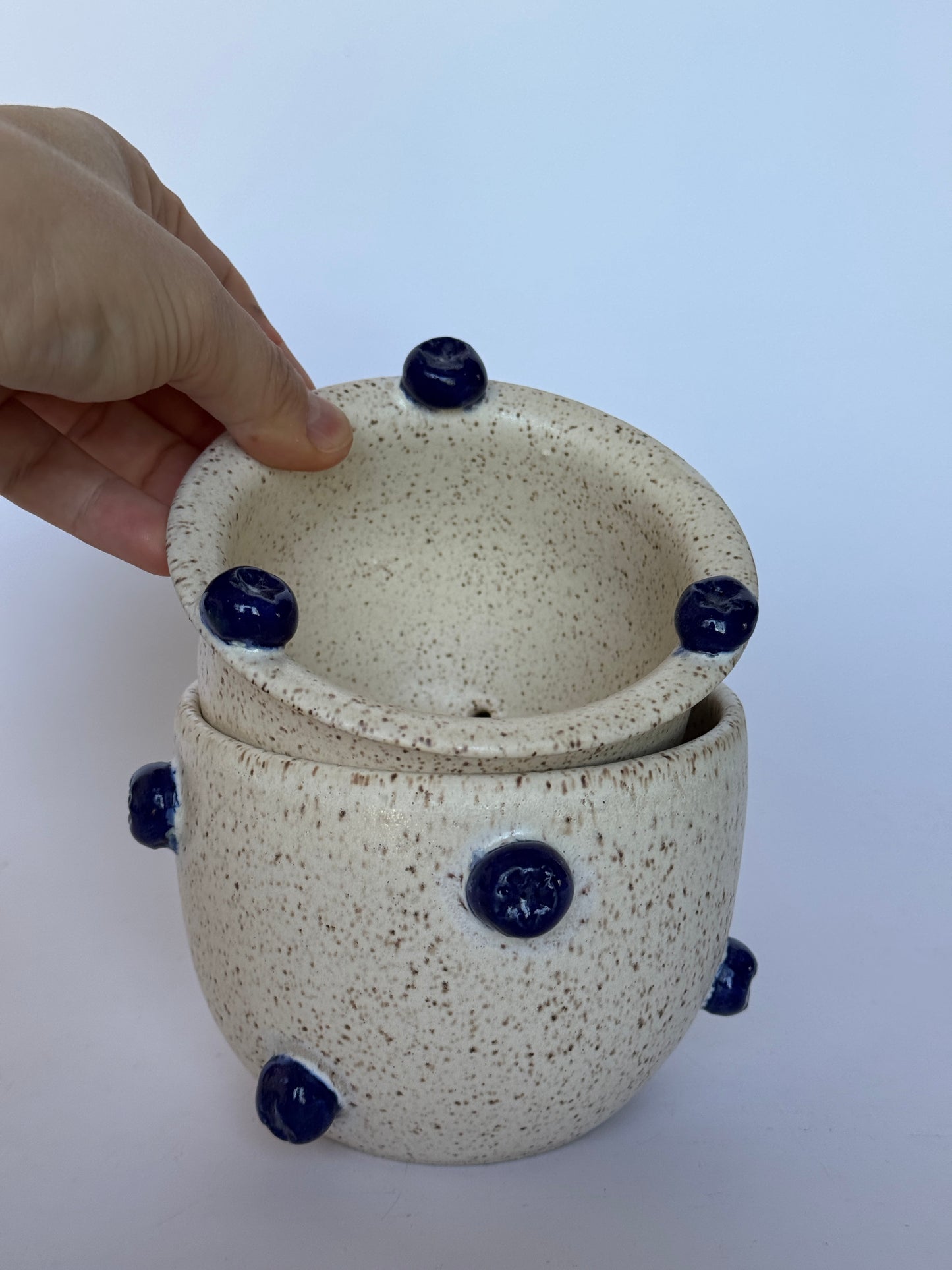 Blueberry Strainer+Bowl set #2