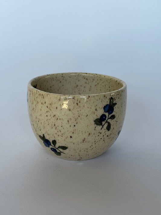 Blueberry Strainer #1