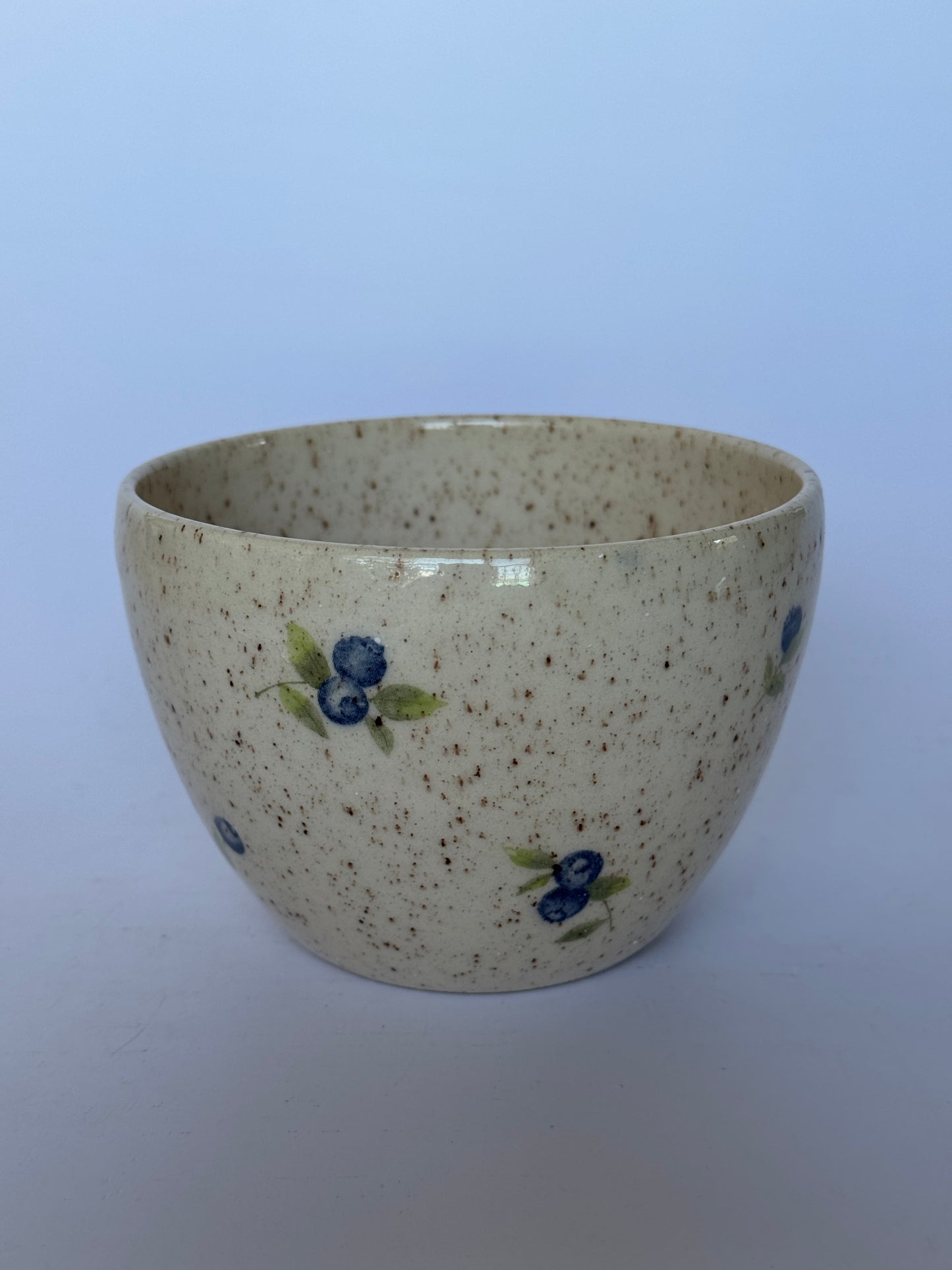 Medium Blueberry Bowl