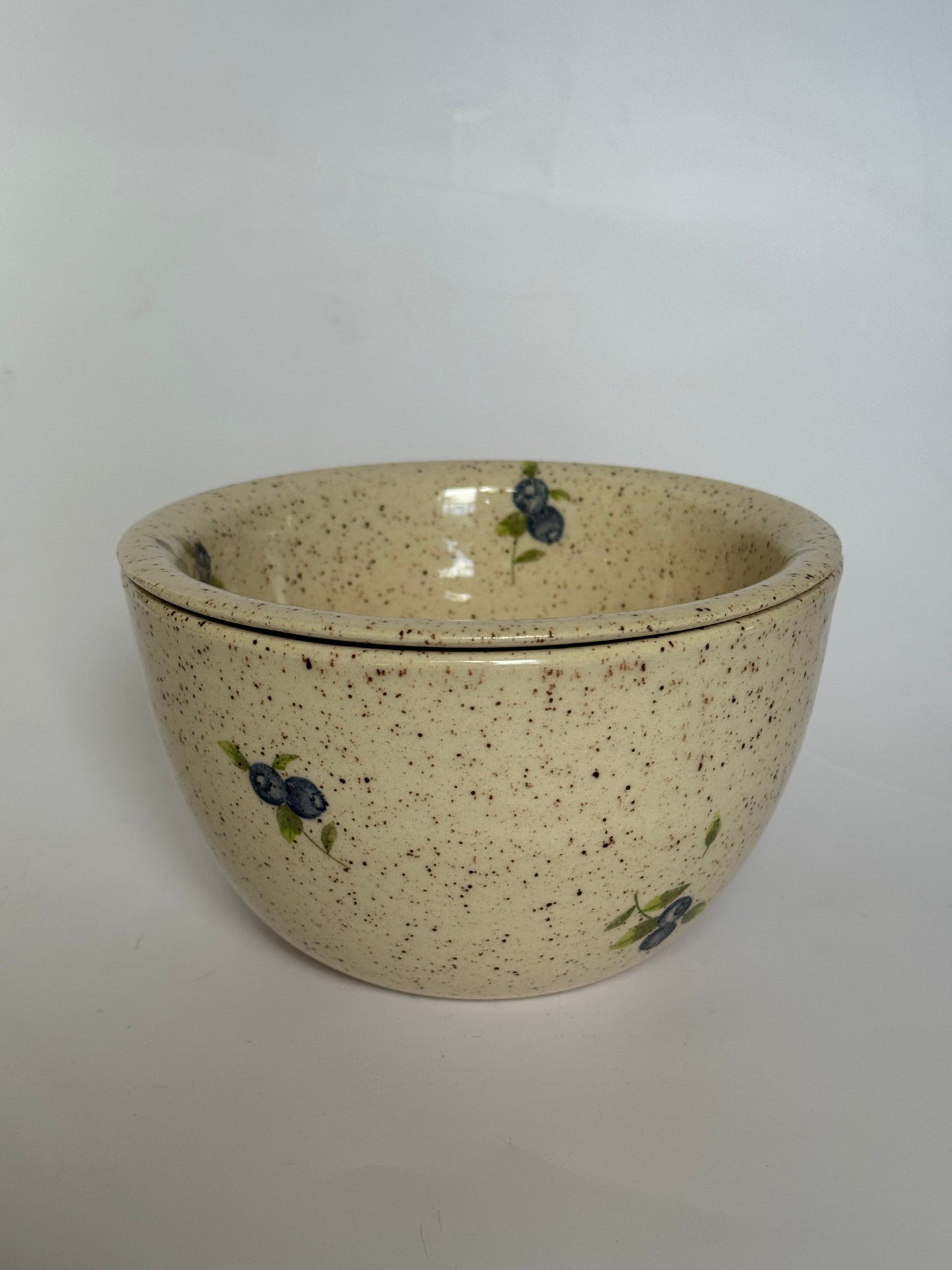 Blueberry Strainer+Bowl Set