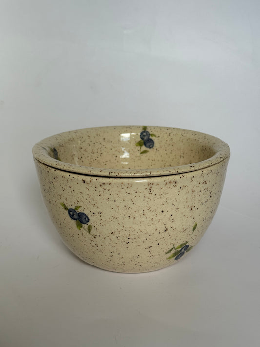 Blueberry Strainer+Bowl Set