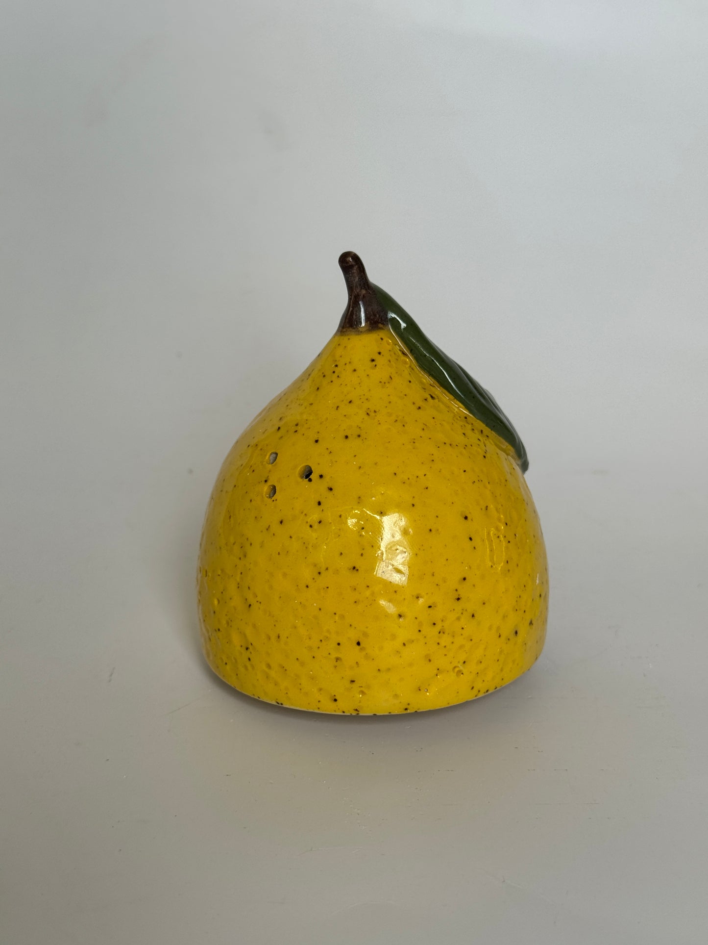 Salt Shaker Lemon with Stopper (with extra holes)
