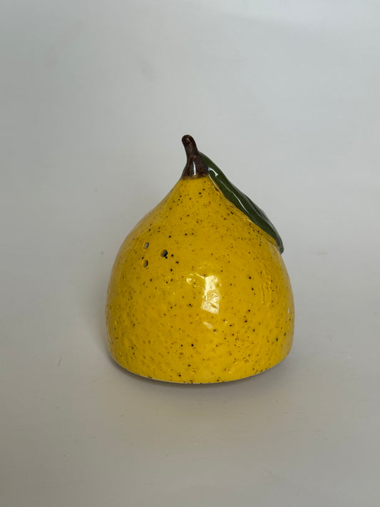 Salt Shaker Lemon with Stopper (with extra holes)