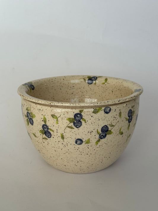 Blueberry Strainer+Bowl Set